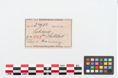 Etiketten zu Bronzearmring (NHMW-PRAE-024985)